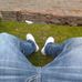 Diego Zavala - Facebook