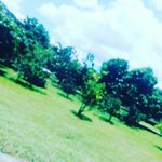 diego david rodriguez zeledon - @diegodavidrodriguezzeledon - Instagram