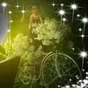 Diem Do - @diemdo748 - TikTok