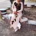 Diêm Đoàn - Facebook