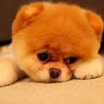 Dien Dang - @diendang2056 - Instagram