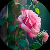 Diện, - @diendang01z - TikTok