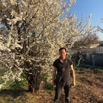 Dien Luu - @dien.luu.5264382 - Instagram