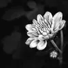 Lưu Điền 🍬 - @luudien2202 - TikTok