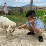 Dien Quach - @quachthidien - Instagram