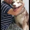 Dien Tang - @dientang6 - TikTok
