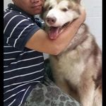 Dien Tang - @dien.tang.169 - Instagram