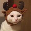 Dien Thieu - @dien.thieu4 - TikTok