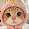 Dien Tranggp - @dien.tranggp - TikTok