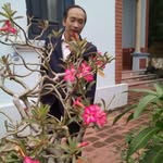 Diep Cao - @diep7233 - Instagram