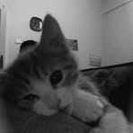 Diep Doan - Facebook