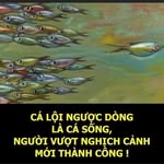Diep Dong - @nguyendiephonai3 - Instagram
