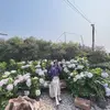 Diệp Hà - @my93_diepha - TikTok
