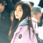 Diệp Hoàng - @hoang12122005 - Instagram