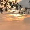 Diephoang - @diephoang1230 - TikTok