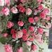 Diep Le - Facebook