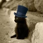 Diep Lee - @afterallthistime23 - Instagram