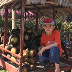 Diep Loi - Facebook