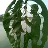 Diep Luu - @diep.luu4 - TikTok