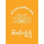 Diep Phung - @diepphungg - Instagram
