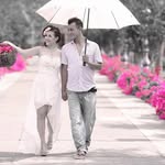 Diep Phung Hoang - @diepphunghoang - Instagram