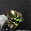 Diệp Tôn Nữ Ngọc - @dip.tn.n.ngc6 - TikTok