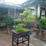diep truong duy - @dieptruongduy - Instagram