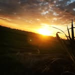 Diep Tung - @diep.tung.9028 - Instagram