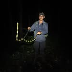 Herping Vietnam - Guide Diệp Tùng - @guide_herping_vietnam_dieptung - Instagram
