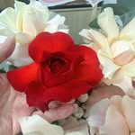 Diệp Vuong - @diepvuong111990 - Instagram