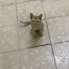 Điệp Vương - @diepvuong35 - TikTok