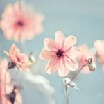 Diệp Vương Thiên My - @diepvuongthienmy - Instagram
