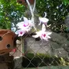 Diệpvuong - @diepvuongv - TikTok