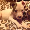 dierdrejones - @xxsatisfiedactionxx - TikTok