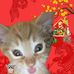 Diệt Pham - Facebook