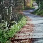 Dieter Albert Abendroth Borst - @abendrorh - Instagram