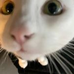 Dieter Ammann - @ammann.dieter - Instagram