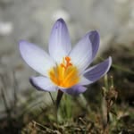 Klaus Dieter Bender - @klausdieterbender642310 - Instagram