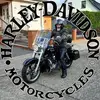 Dieter Hansen306 - @dieterhansen1 - TikTok