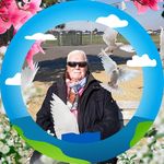 Dieter Hansen - @dieter.hansen.526 - Instagram