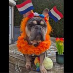 Dieter Hansen - Facebook