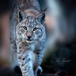 Dieter Klein - @dieter.klein.581 - Instagram