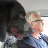 Dieter Klein - @diddi_0 - TikTok