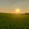 Dieule - @dieule390 - TikTok