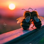 Digna Diaz - Facebook