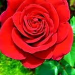 Digna Diaz - Facebook