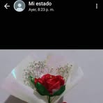 Digna Granados - Facebook