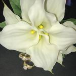 Digna Guzman - @digna_guzman2009 - Instagram