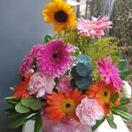 Digna Martinez - Facebook