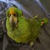 Digna Martinez - @digmar2195 - TikTok